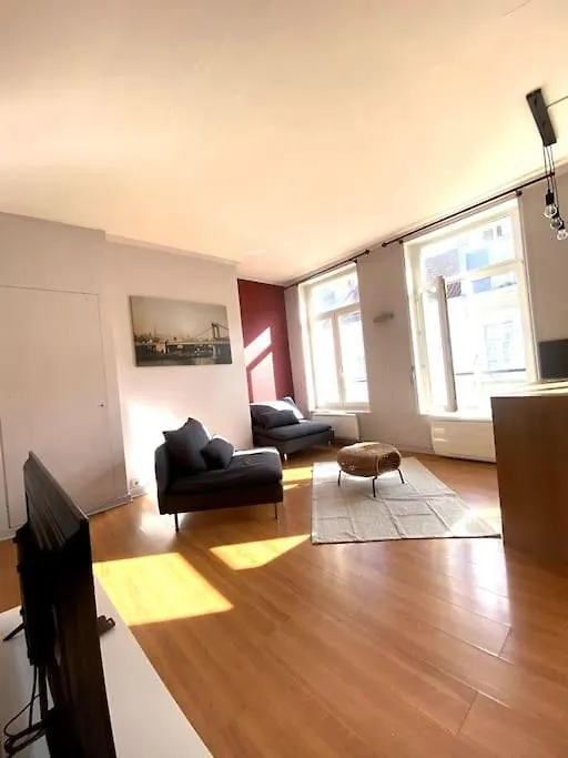 La Belle Treille By Concierge City Lille