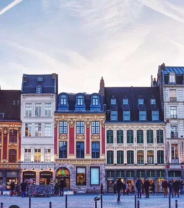 La Belle Treille By Concierge City Lille