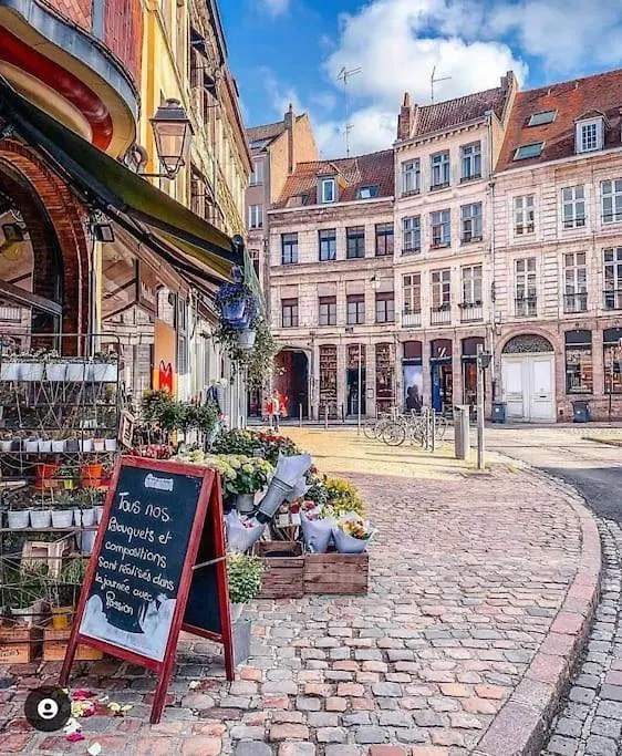 La Belle Treille By Concierge City Lille 0*,