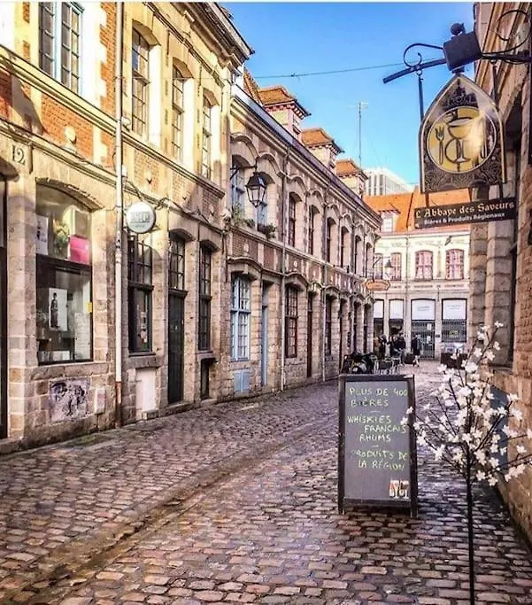 La Belle Treille By Concierge City Lille France
